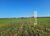 Fazenda, 256 m² - Foto 1