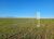 Fazenda, 256 m² - Foto 4