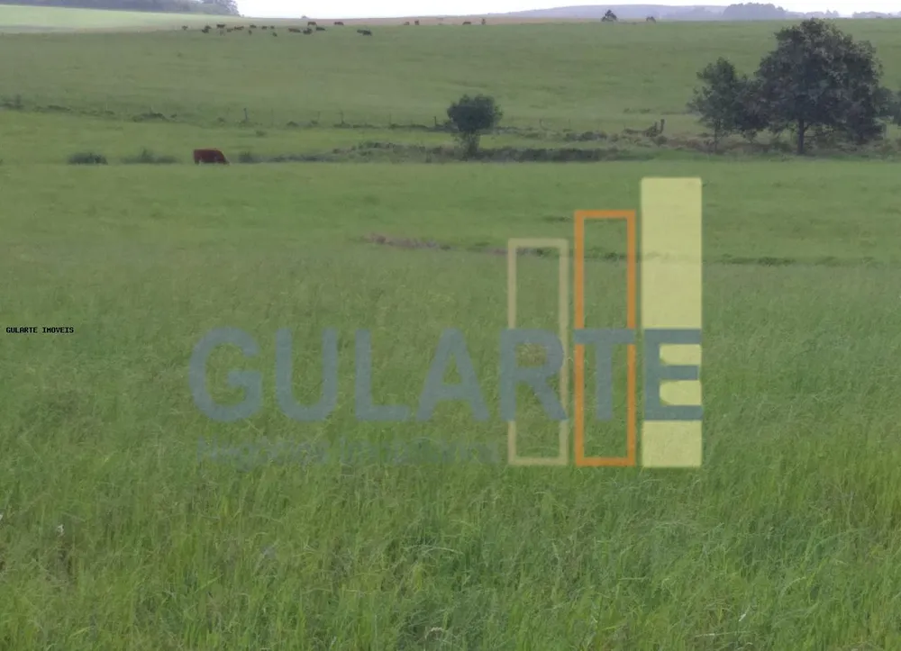 Fazenda, 330 hectares - Foto 1