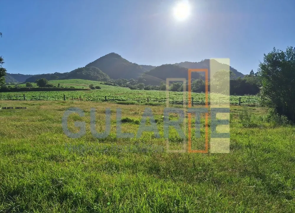 Fazenda, 330 hectares - Foto 3