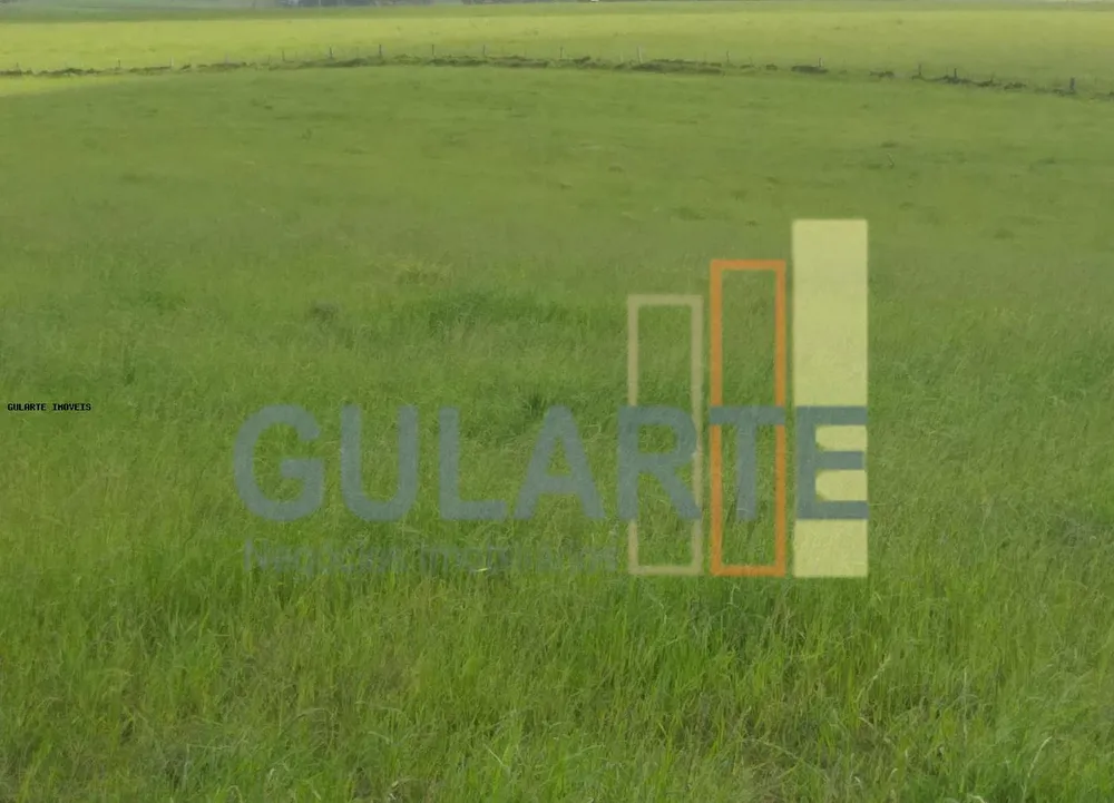 Fazenda, 330 hectares - Foto 4