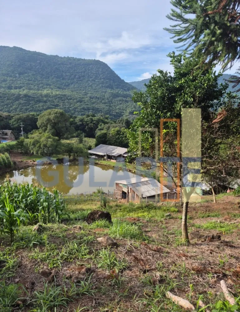 Sítio, 7300 m² - Foto 5