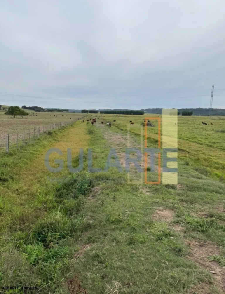 Fazenda, 398 hectares - Foto 2