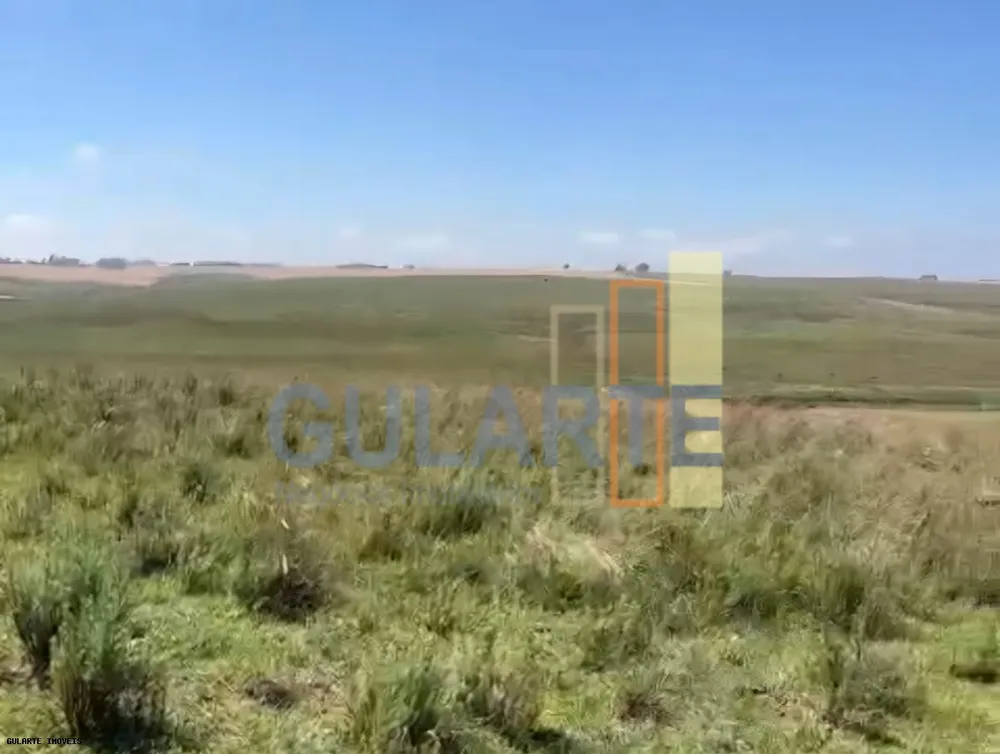 Fazenda, 398 hectares - Foto 3