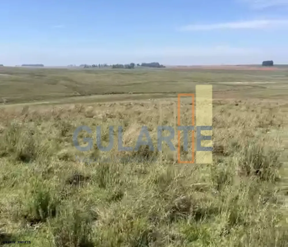 Fazenda, 398 hectares - Foto 1