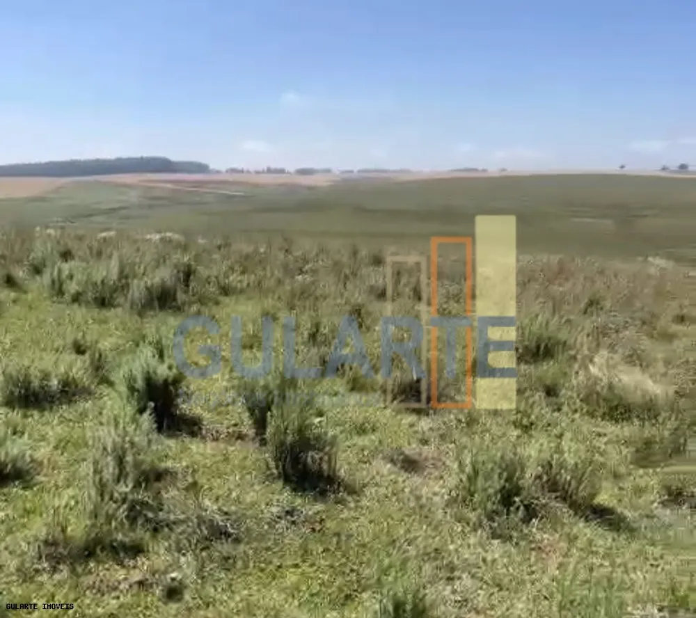 Sítio, 398 hectares - Foto 4