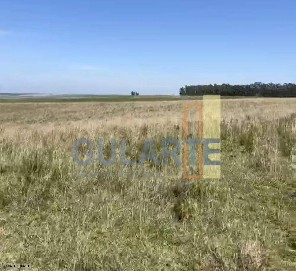 Fazenda, 398 hectares - Foto 4