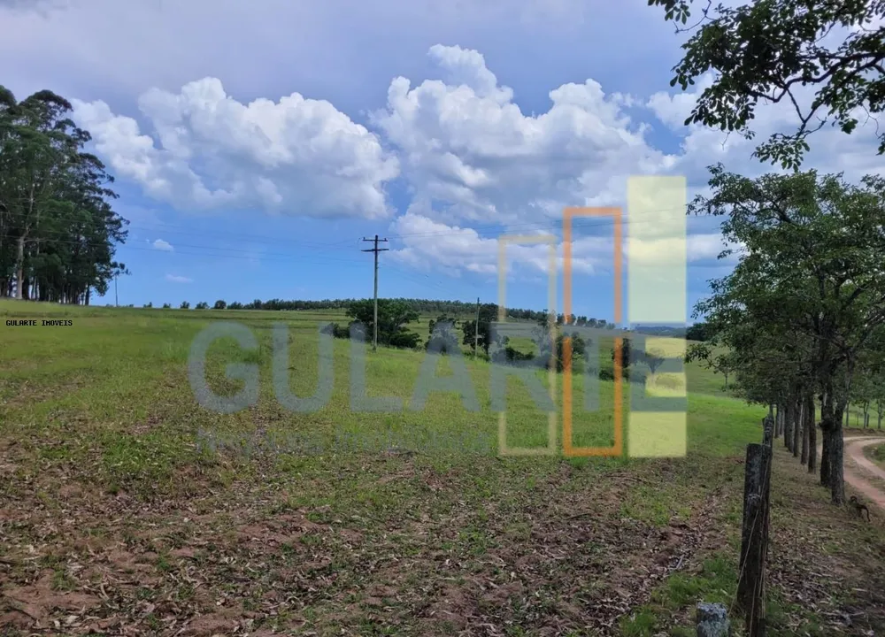 Fazenda, 59 hectares - Foto 1