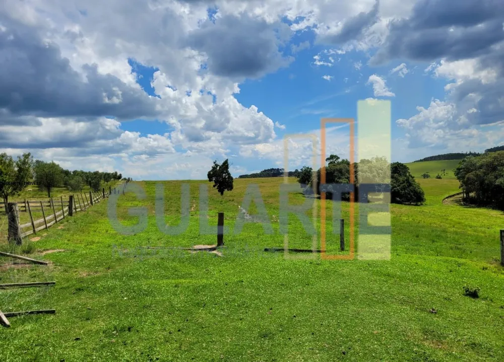 Fazenda, 59 hectares - Foto 8