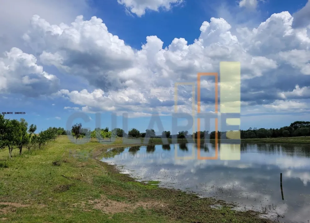Fazenda, 59 hectares - Foto 6