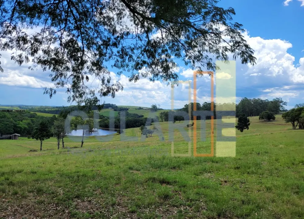 Fazenda, 59 hectares - Foto 2