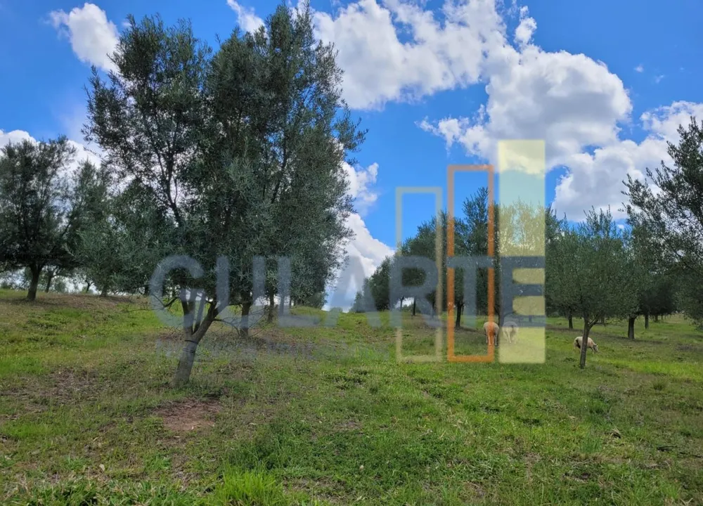 Fazenda, 59 hectares - Foto 3