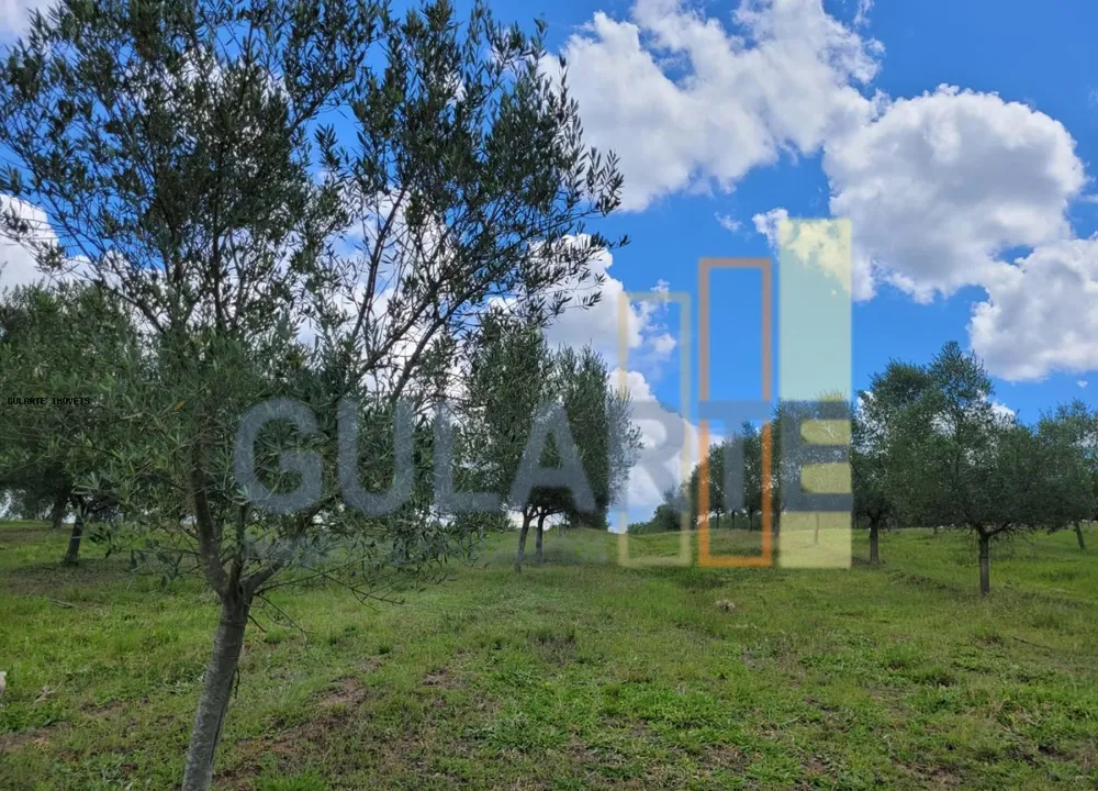 Fazenda, 59 hectares - Foto 4