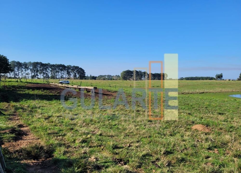 Fazenda à venda, 270000m² - Foto 10