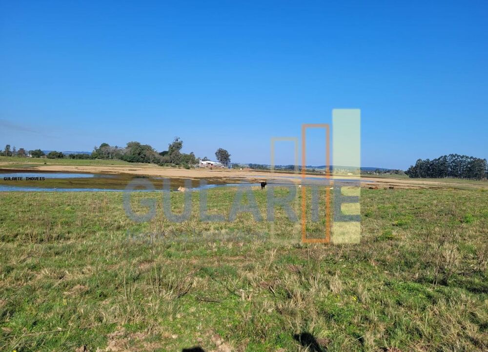Fazenda à venda, 270000m² - Foto 9