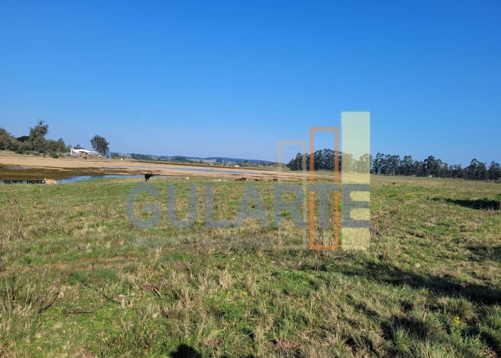 Fazenda à venda, 270000m² - Foto 3
