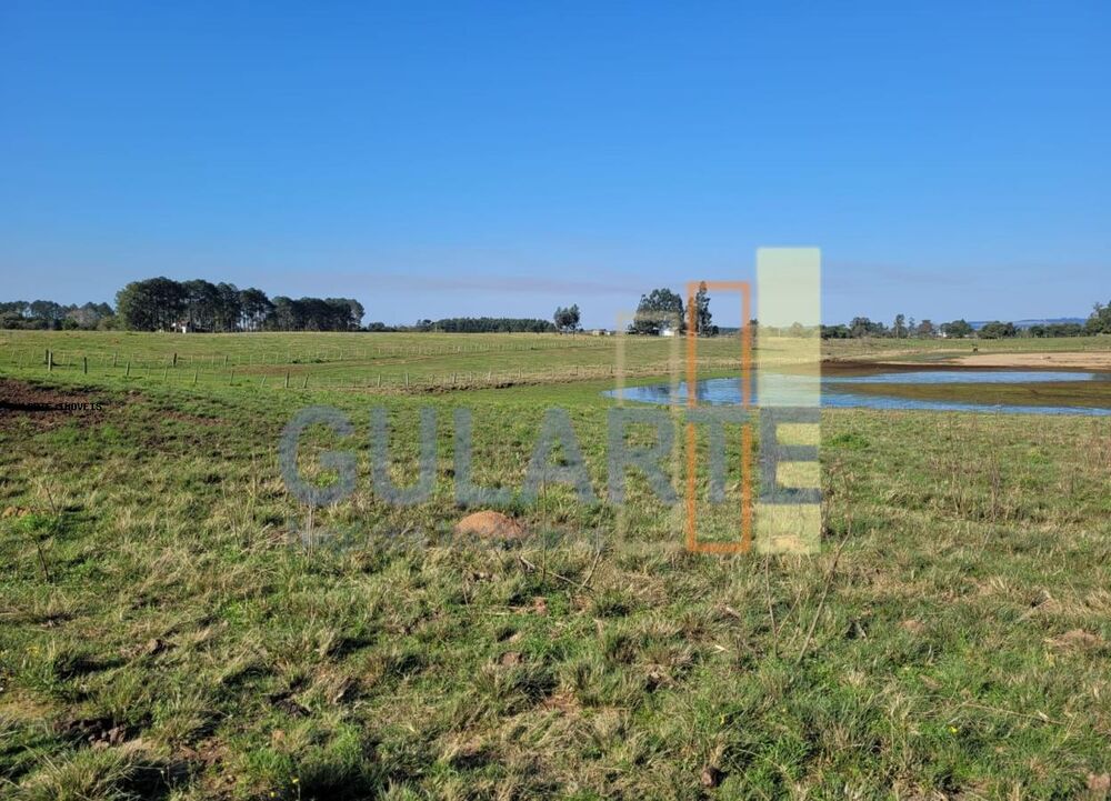 Fazenda à venda, 270000m² - Foto 4