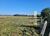 Fazenda-Sítio-Chácara, 27 hectares - Foto 2