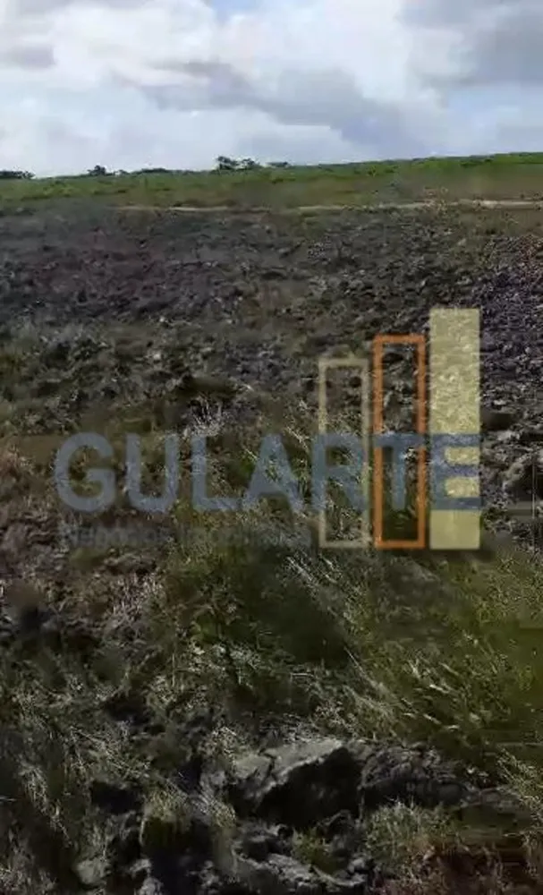Fazenda, 215 hectares - Foto 7