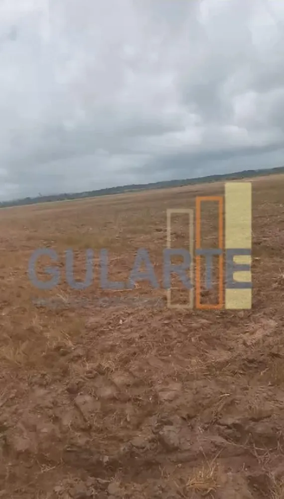 Fazenda, 215 hectares - Foto 3