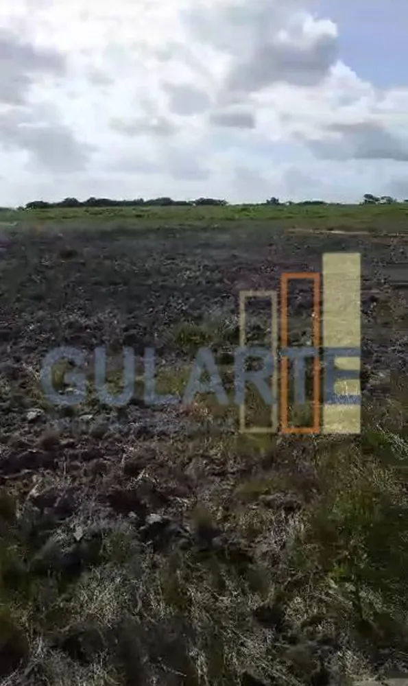 Fazenda, 215 hectares - Foto 6