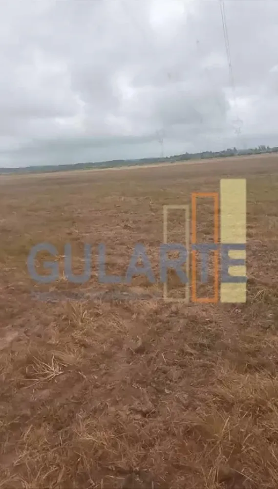 Fazenda, 215 hectares - Foto 2