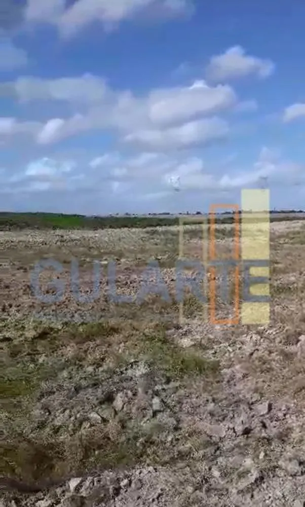 Fazenda, 215 hectares - Foto 12