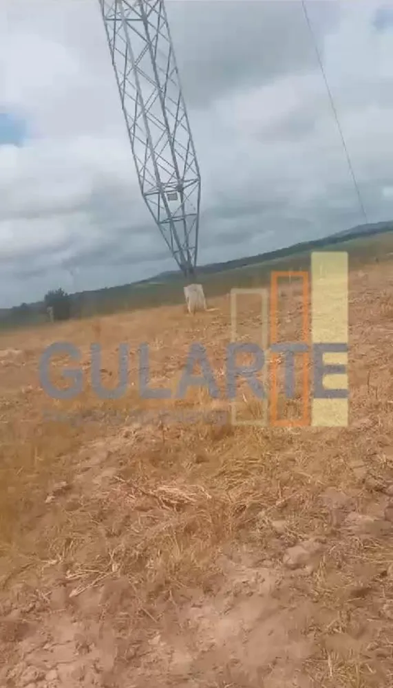 Fazenda, 215 hectares - Foto 4