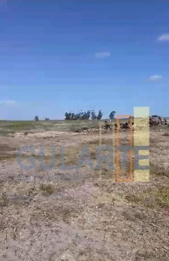Fazenda, 215 hectares - Foto 11