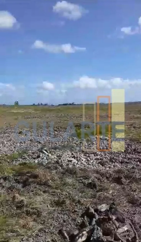 Fazenda, 215 hectares - Foto 10