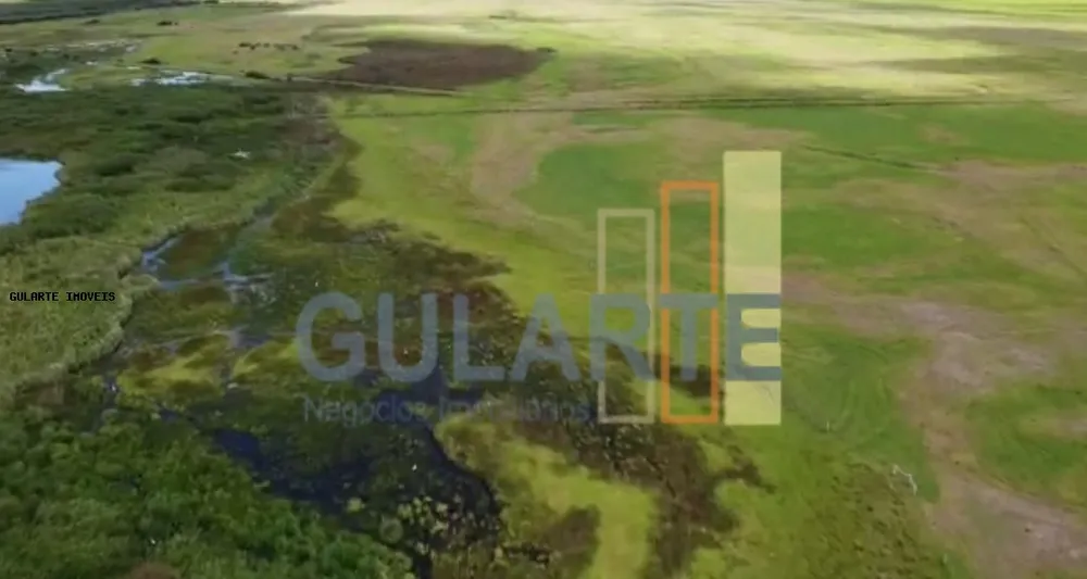 Fazenda, 130 hectares - Foto 4