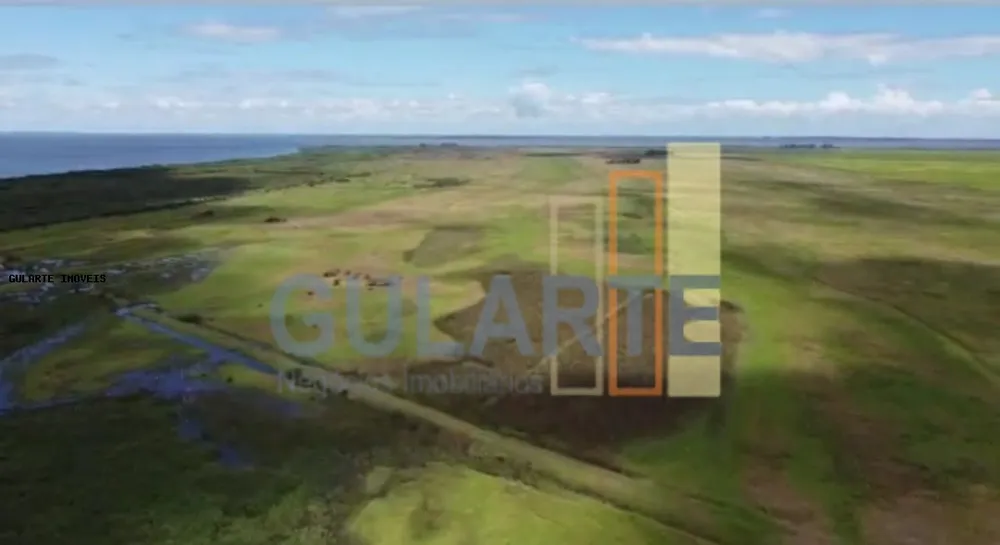 Fazenda, 130 hectares - Foto 6