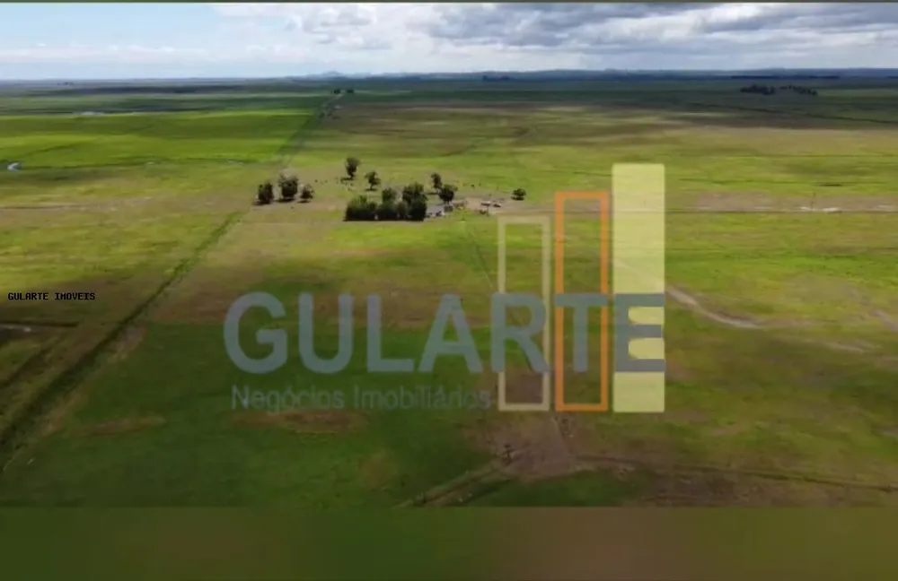 Fazenda, 130 hectares - Foto 1