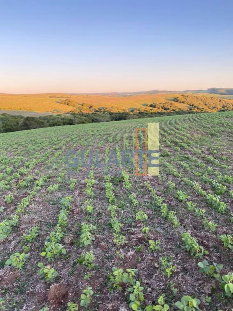 Fazenda, 562 hectares - Foto 1
