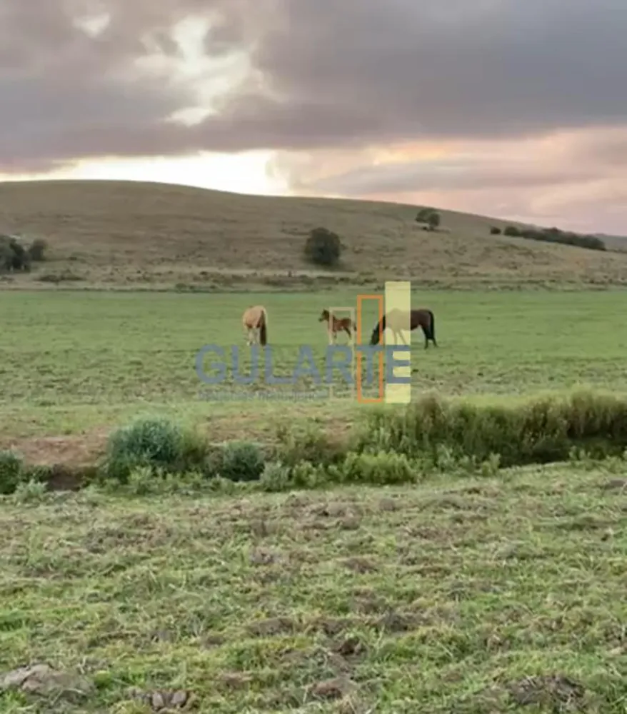 Fazenda, 562 hectares - Foto 14