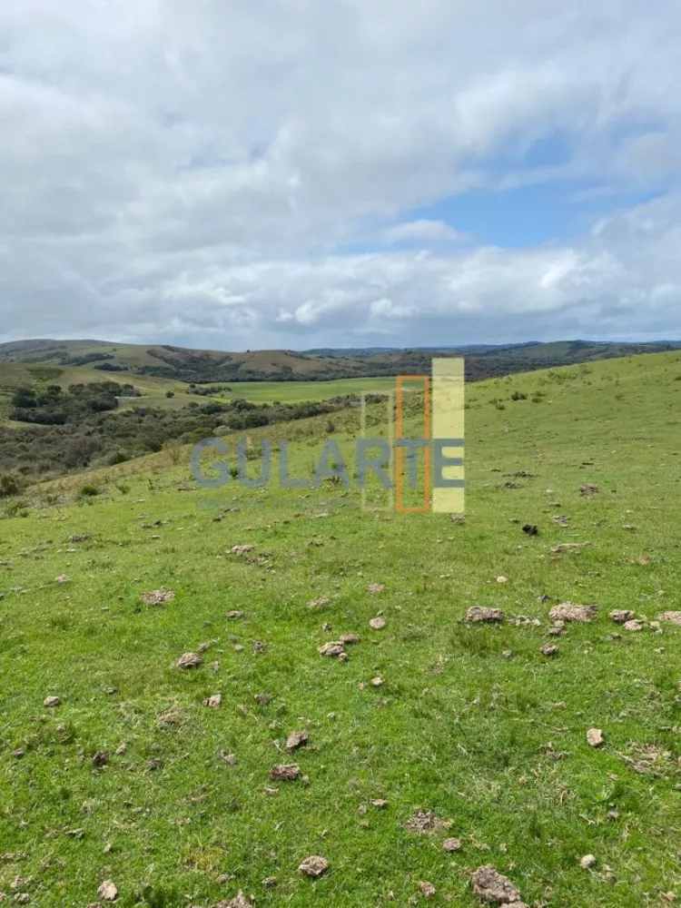 Fazenda, 562 hectares - Foto 7