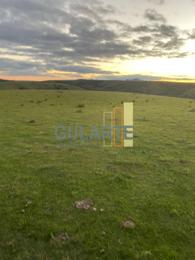 Fazenda, 562 hectares - Foto 13