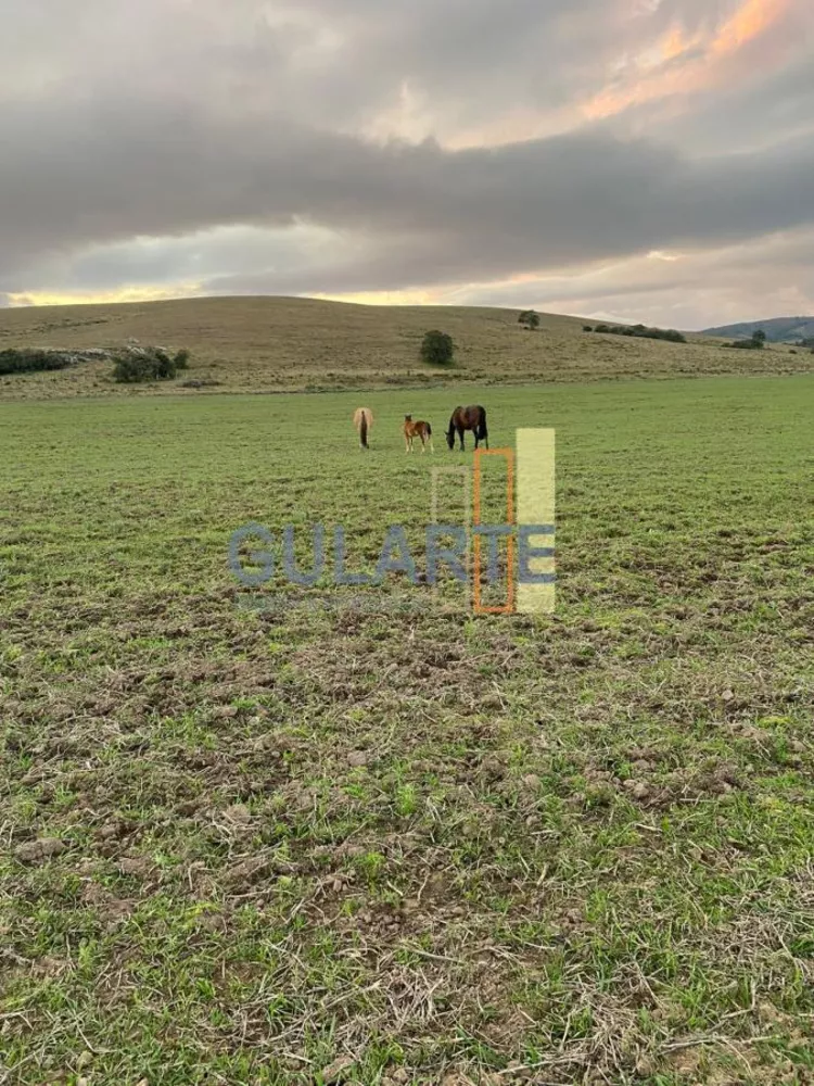 Fazenda, 562 hectares - Foto 9