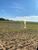 Fazenda-Sítio-Chácara, 562 hectares - Foto 8