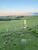 Fazenda-Sítio-Chácara, 562 hectares - Foto 4