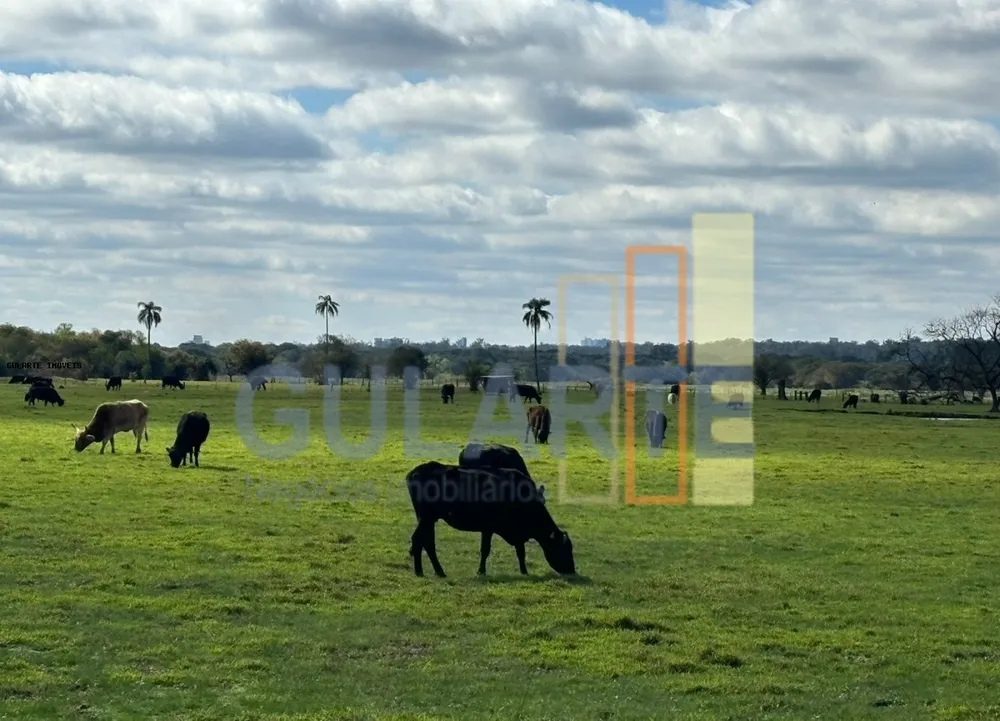 Fazenda, 866 hectares - Foto 5