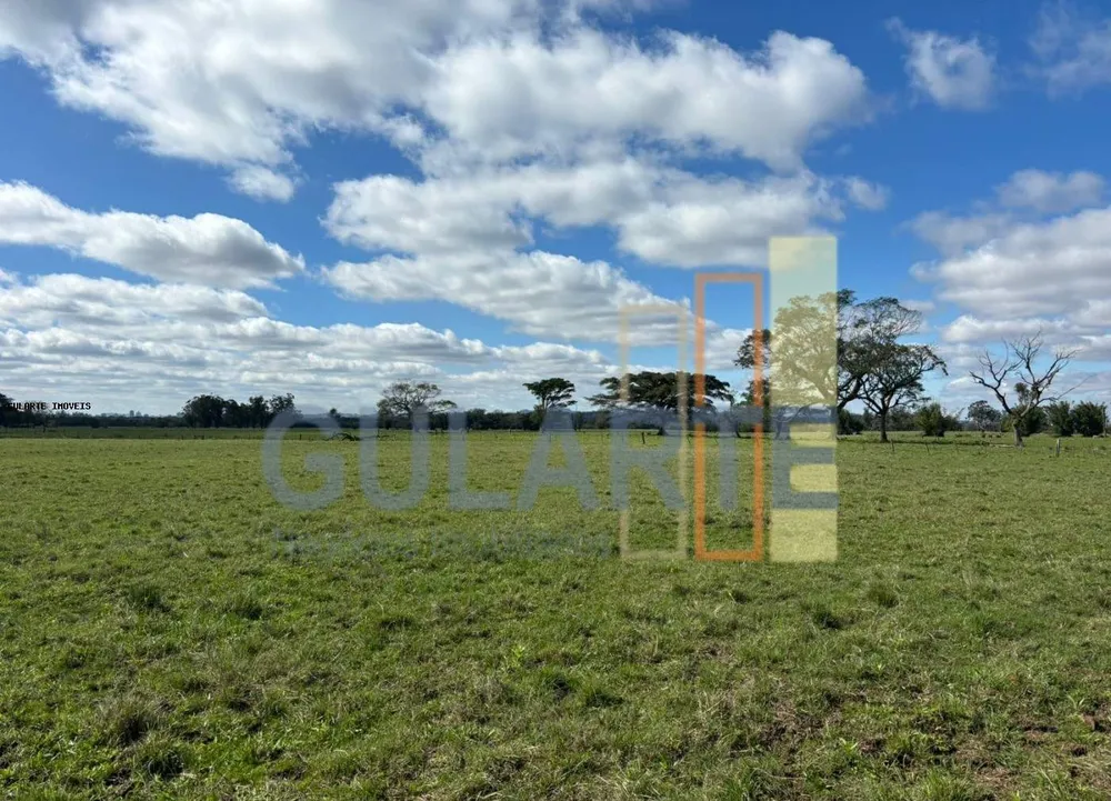 Fazenda, 866 hectares - Foto 8