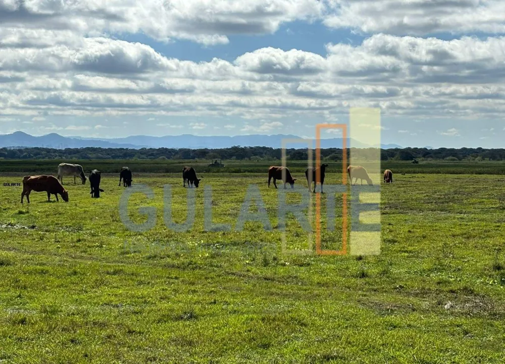 Fazenda, 866 hectares - Foto 4