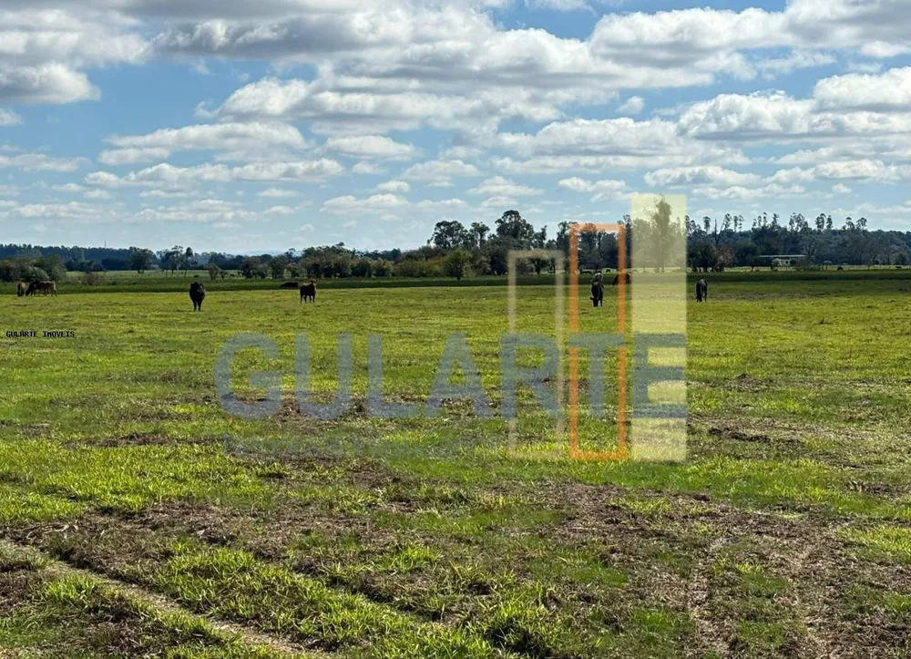 Fazenda, 866 hectares - Foto 3