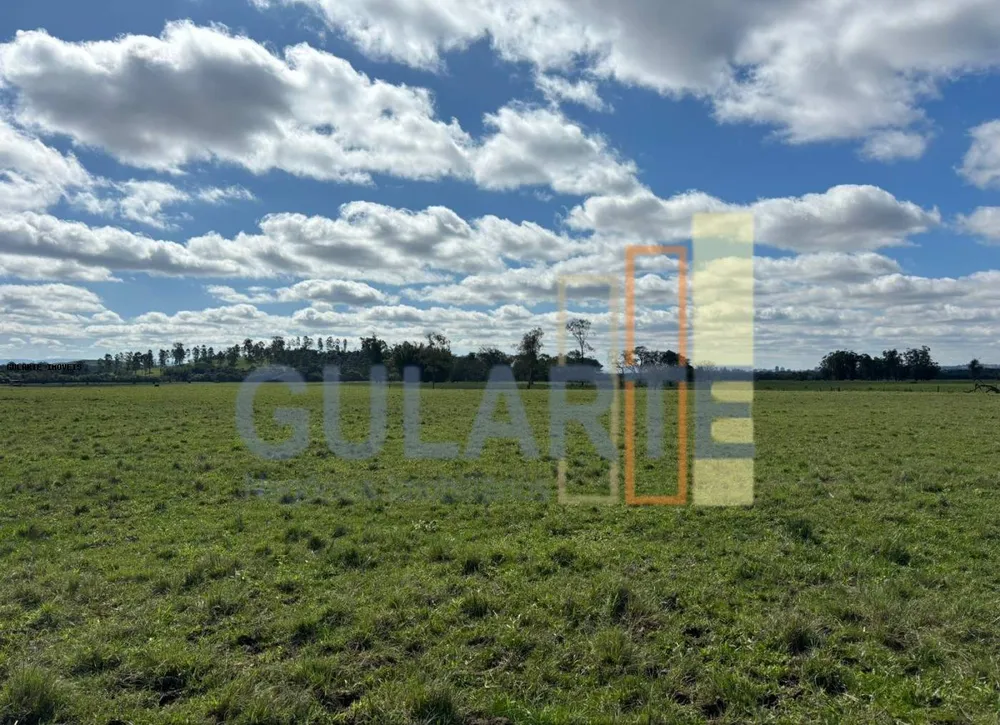Fazenda, 866 hectares - Foto 7