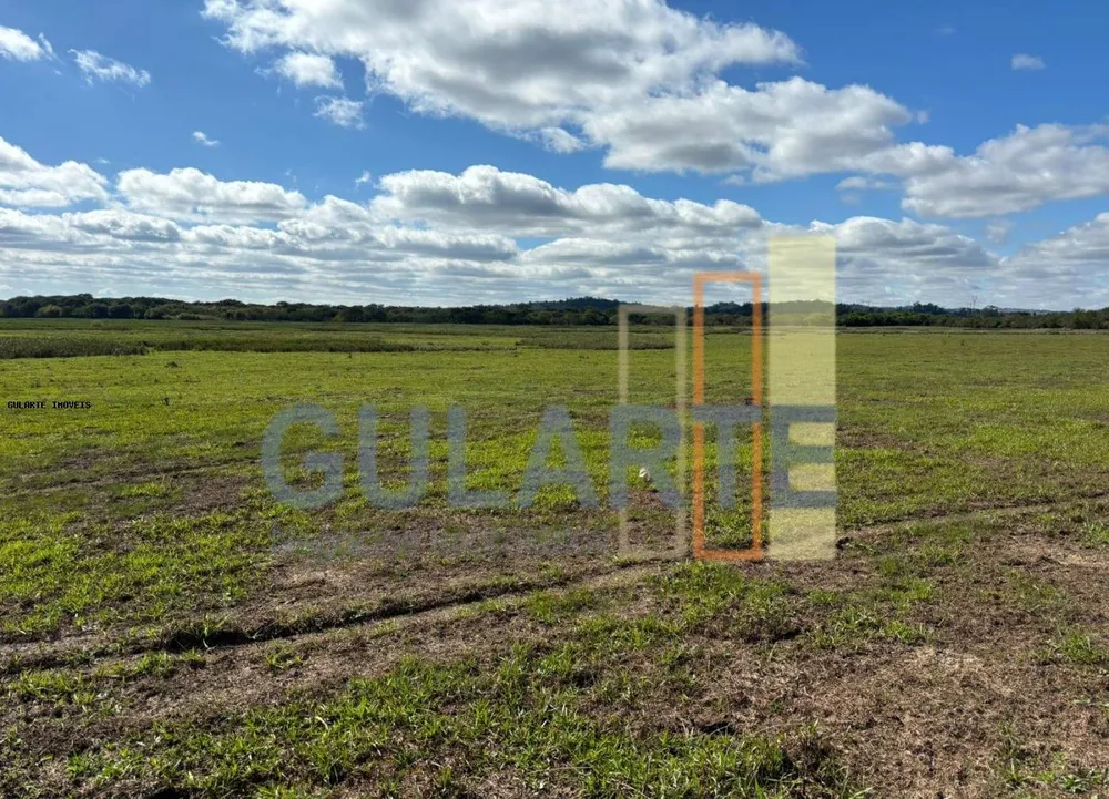 Fazenda, 866 hectares - Foto 2