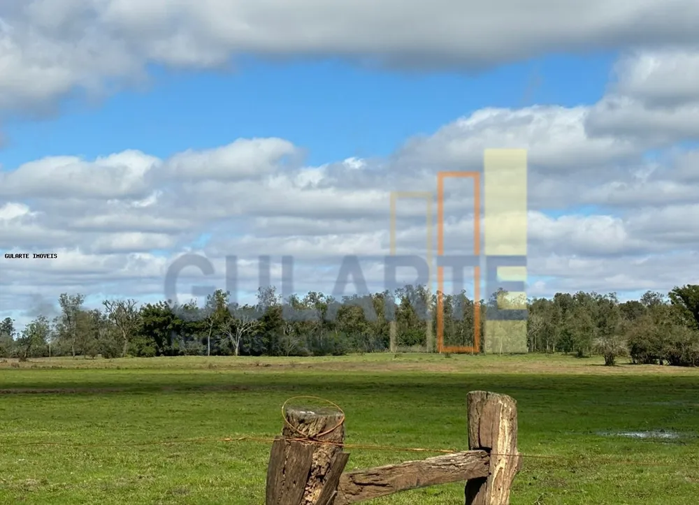 Fazenda, 866 hectares - Foto 6