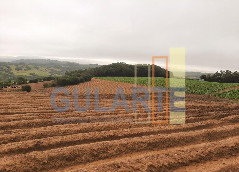 Sítio à venda, 120000m² - Foto 1