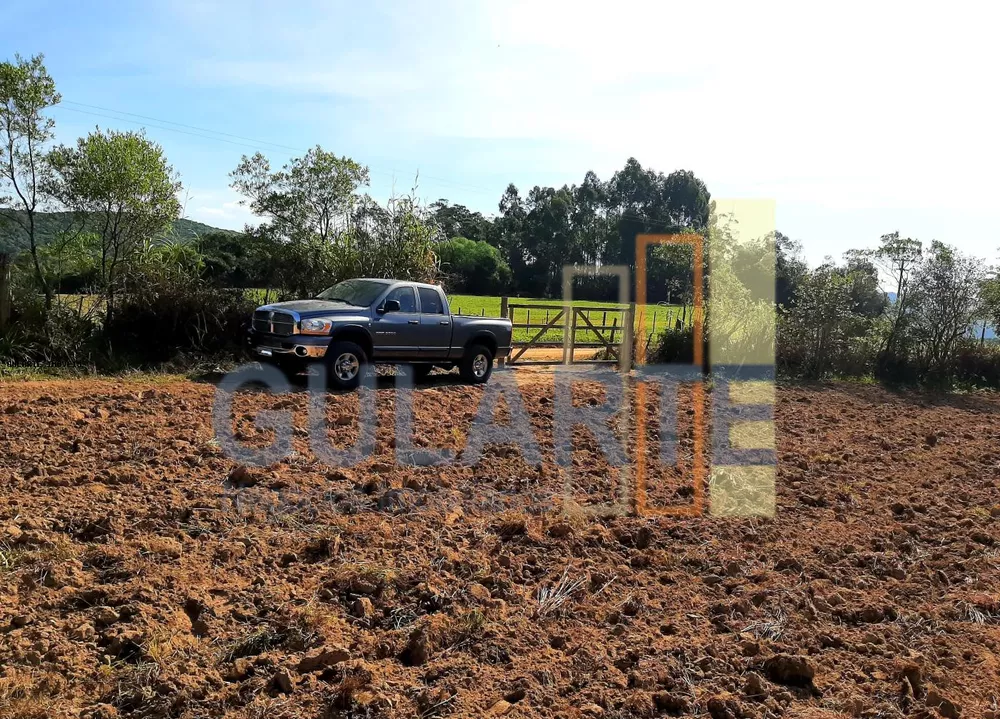 Sítio, 12 hectares - Foto 7