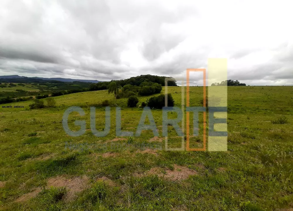 Sítio, 12 hectares - Foto 5